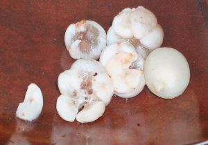 Travel-Cutie-Favorite-Tropical-Fruit-from-Bangkok-Thailand-Markets-Mangosteen-and-Rambutan-inside-interior-flesh