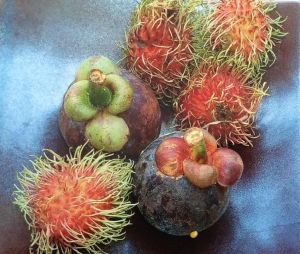 Travel-Cutie-Favorite-Tropical-Fruit-from-Bangkok-Thailand-Markets-Mangosteen-and-Rambutan-