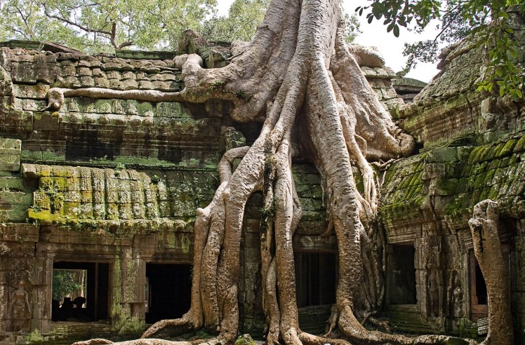 Ta-Prohm-Angkor-Wat-Siem-Reap-Cambodia-Ruins