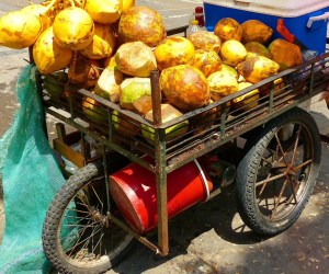 Fresh-coconuts-in-Cartagena-Colombia