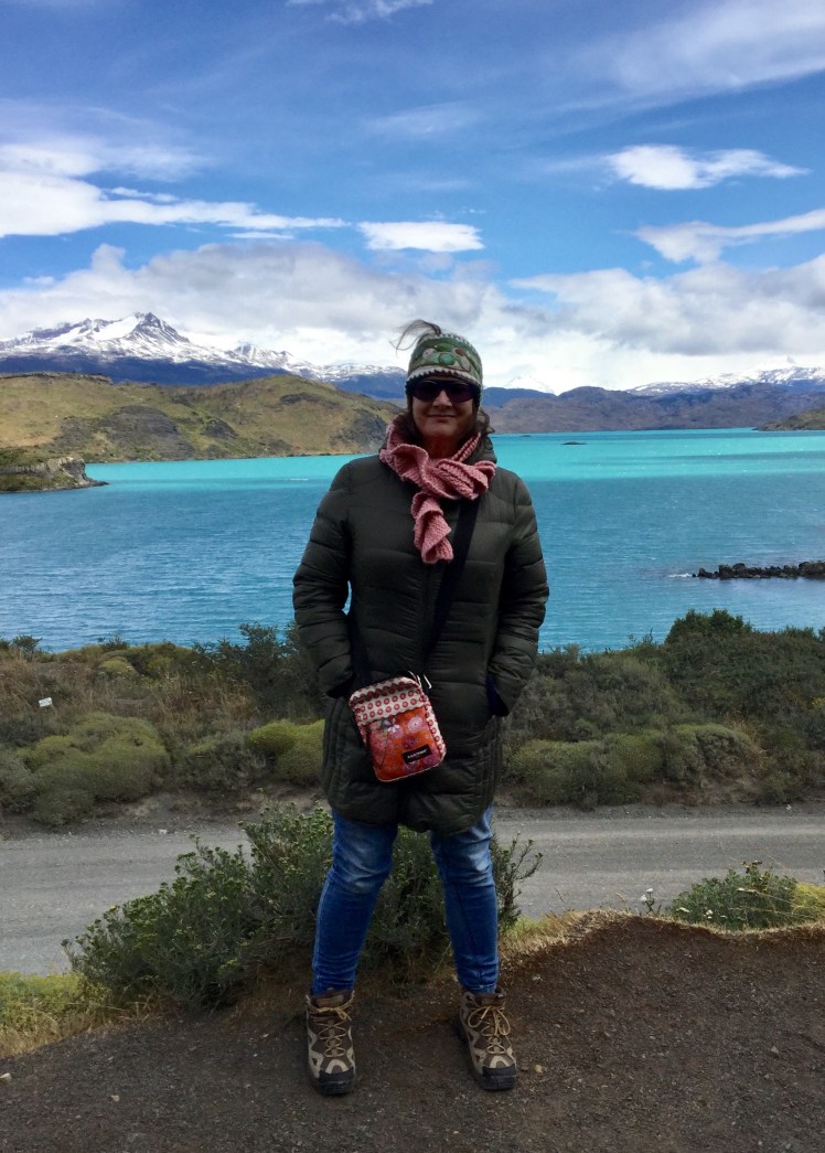 travel cutie in patagonia january 2019